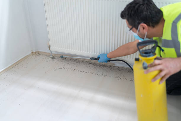 Best Flea Control Services  in Clairton, PA