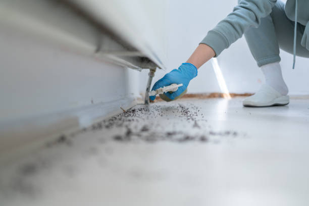 Best Residential Pest Control  in Clairton, PA