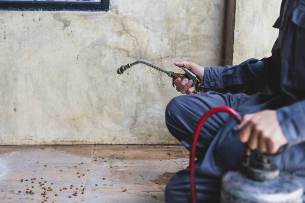 Best Pest Removal Services  in Clairton, PA