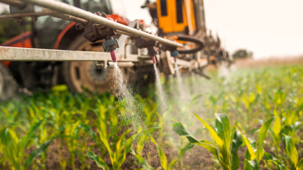 Best Commercial Pest Control Services  in Clairton, PA